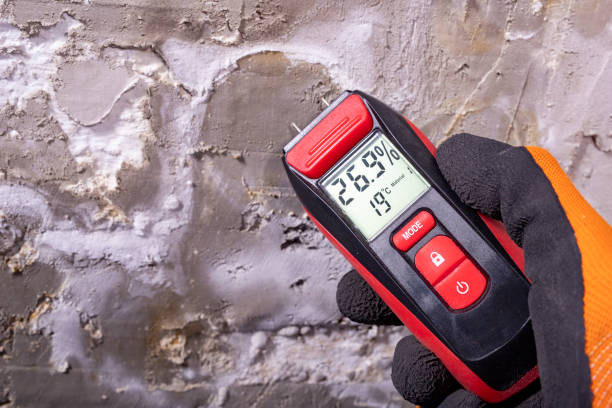 Best Fast Mold Removal  in New Albany, OH