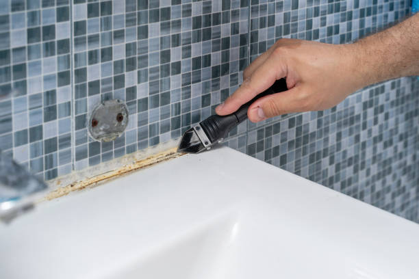 Best Mold Removal Near Me  in New Albany, OH